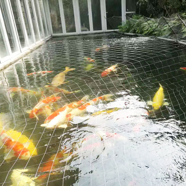 循环过滤池