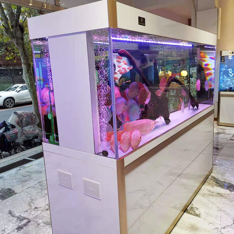 客厅高端鱼缸