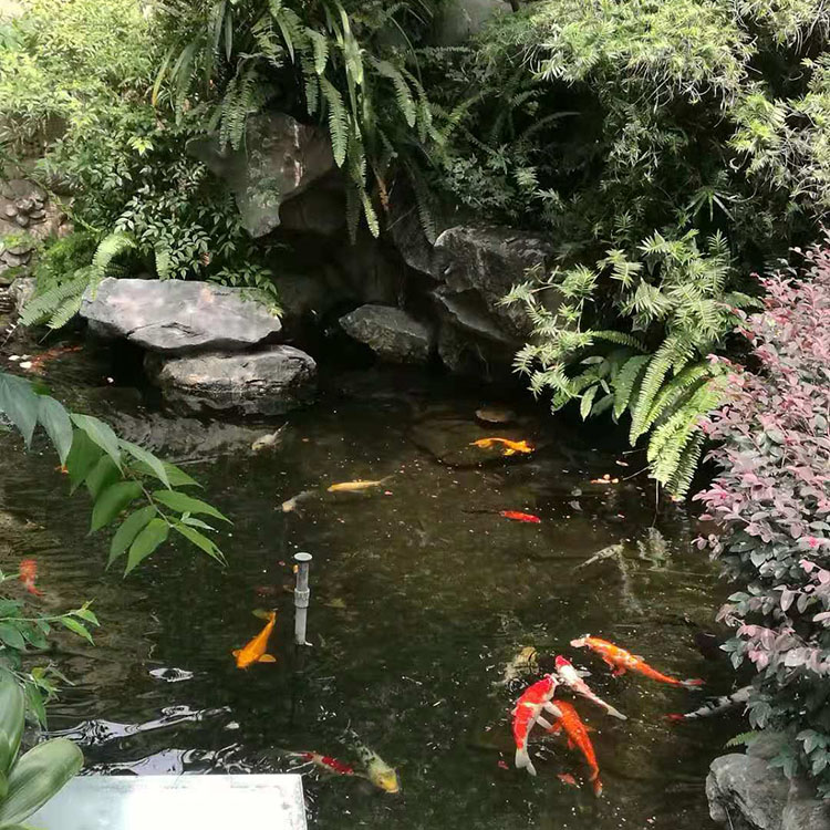 循环过滤池